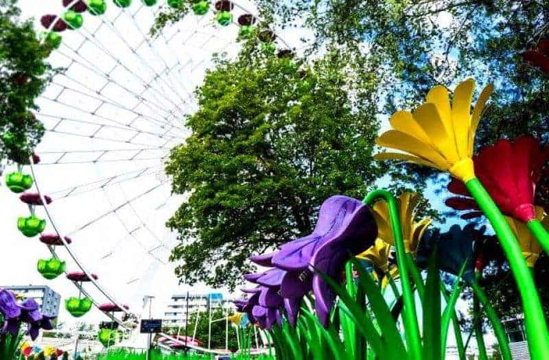 Fleur de Legendia 2 Diabelski młyn i kolorowe kwiaty na tle drzew w parku rozrywki.