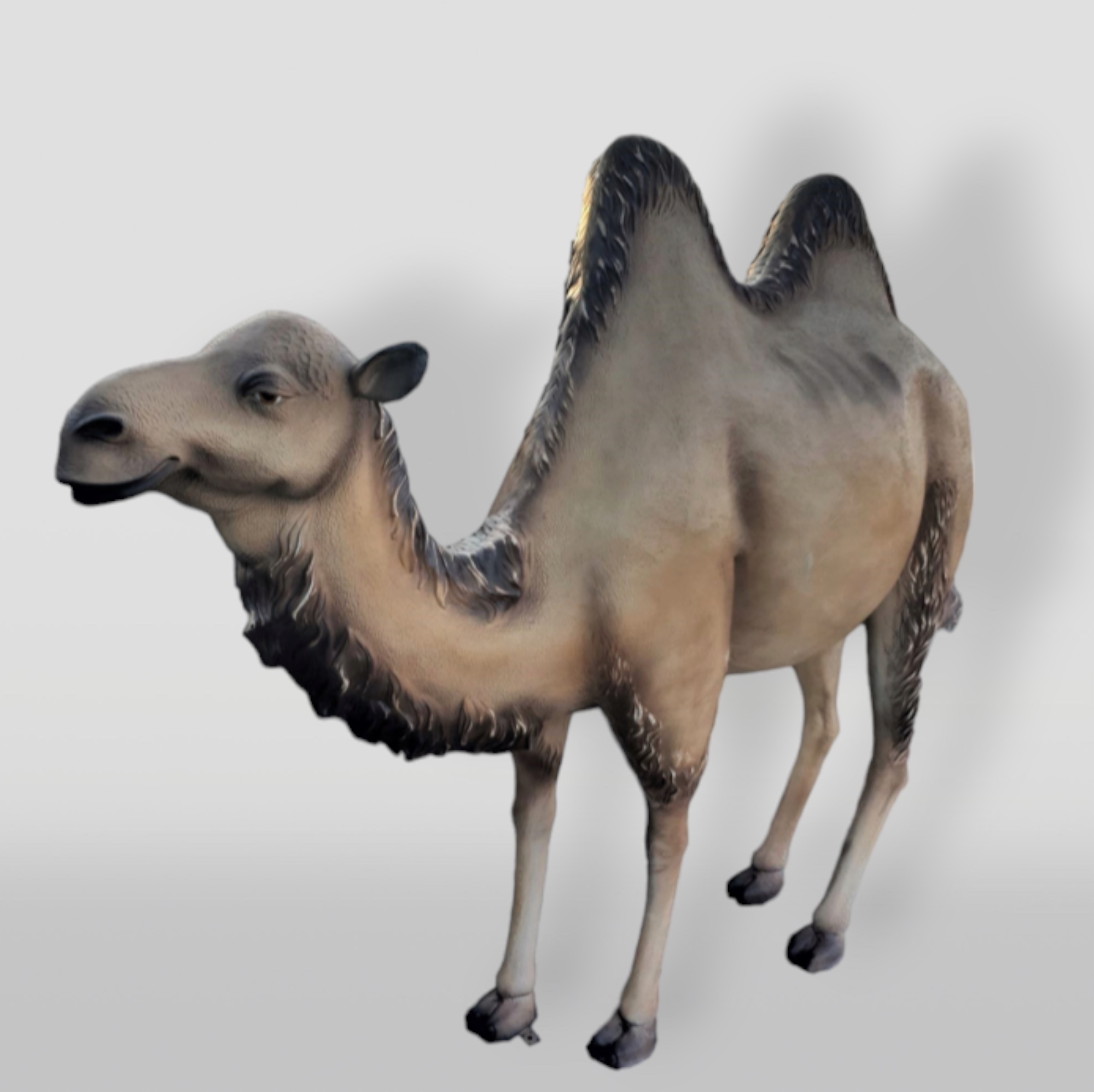 Figure Décoratoire D'Ut Chameau de Taille Naturelle 1 Figura dekoracyjna Wielbłąd Naturalnej Wielkości