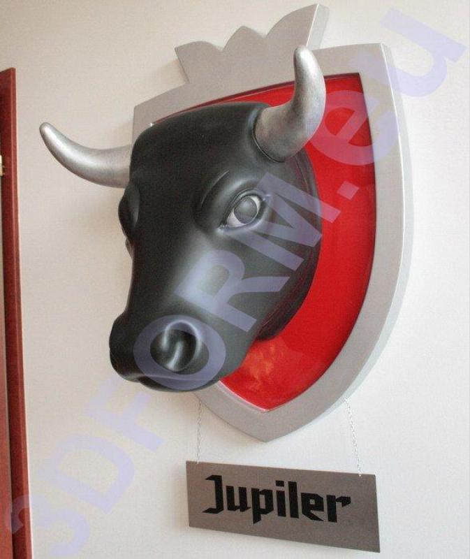 oryg_064490685_1129949550544944_1465385417682452480_o bullhead1