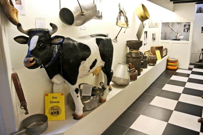 Veau 3 Wnętrze muzeum mleczarstwa z figurą krowy i starymi naczyniami mleczarskimi wystawionymi na półkach.