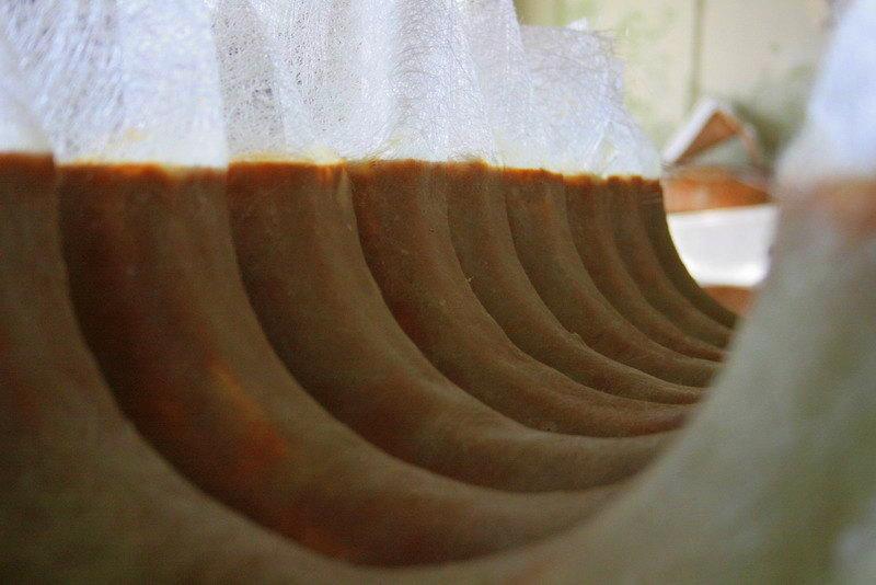 Szereg zakrzywionych kawałków surowego bakłażana suszących się w słońcu.