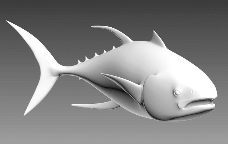 Banc de thons 2 Model 3D ryby z wyraźnymi płetwami i otwartymi ustami na szarym tle.