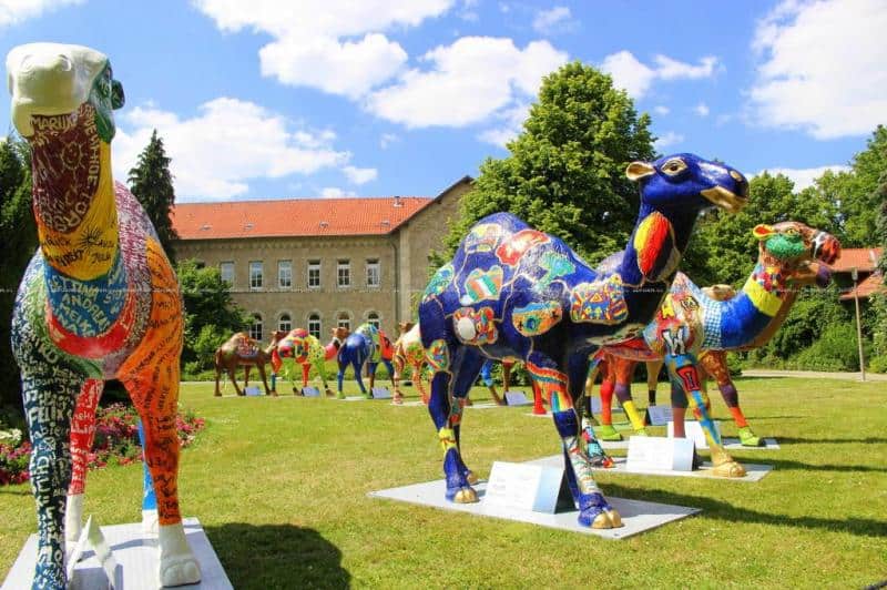 oryg_064490685_1129949550544944_1465385417682452480_o wielbl1