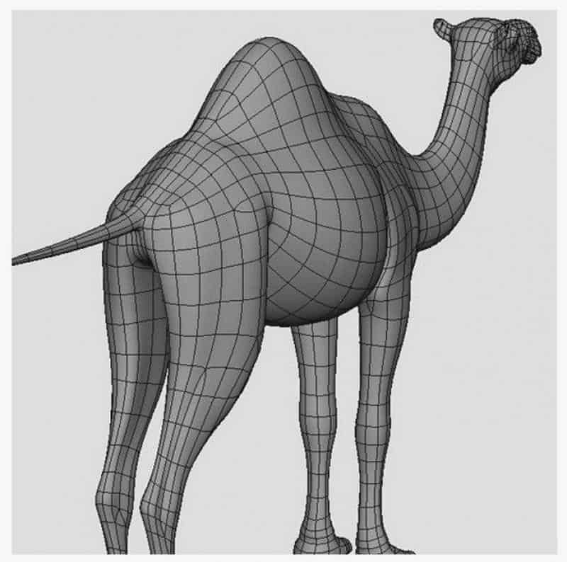 Caravane de Chameaux 3 Model 3D wielbłąda bez tekstur.