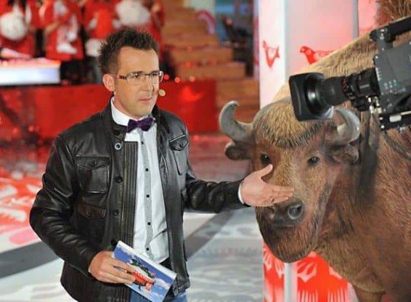 Bisons dans Mężczyzna w okularach i skórzanej kurtce stoi obok wypchanego żubra w studiu telewizyjnym.