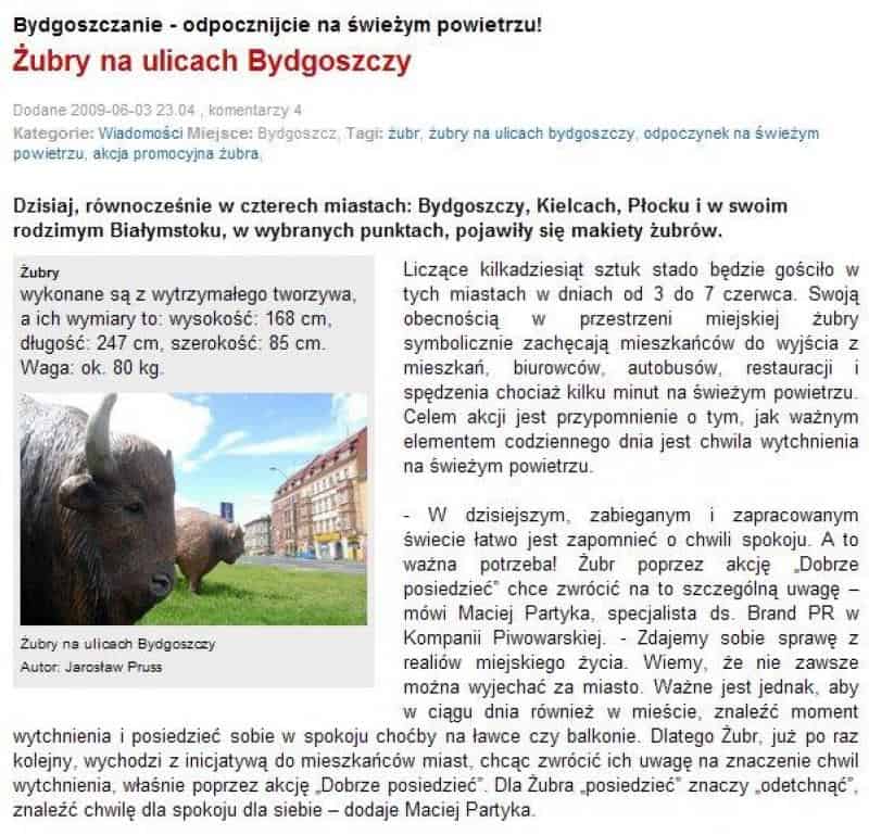 Figurines publicitaires de la bière Żubr 2 Żubry na ulicach Bydgoszczy, w Kielcach, Płocku i Białymstoku. Makiety żubrów zachęcają mieszkańców do wypoczynku na świeżym powietrzu.