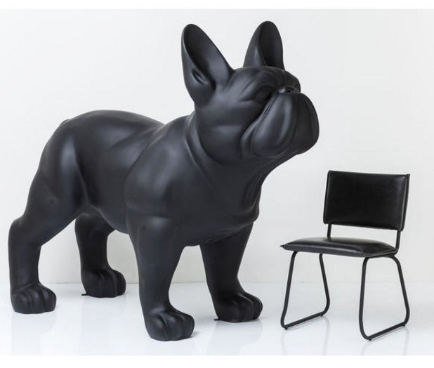 Grand bulldog français - monochrome 3 Duży pies bulldog francuski - jednokolorowy.