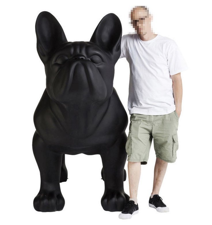 Grand bulldog français - monochrome 1 Duży pies bulldog francuski - jednokolorowy.