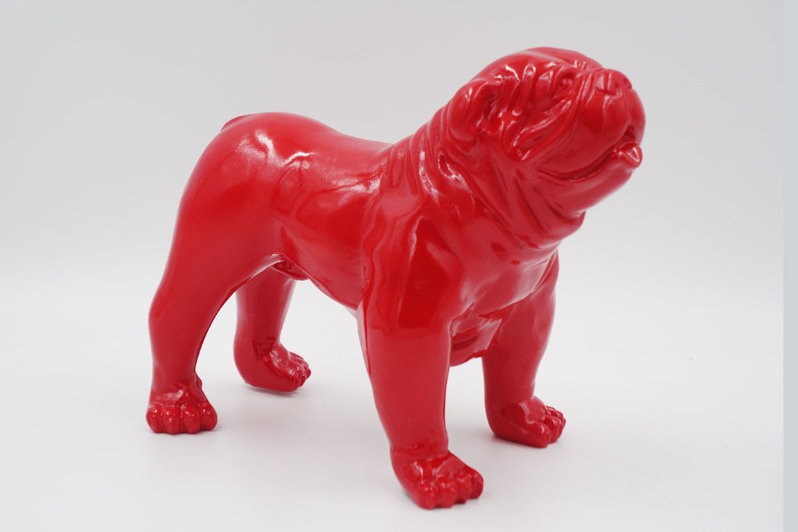 Chien Bulldog USA XS - une couleur 1 pies Bulldog USA XS - jeden kolor
