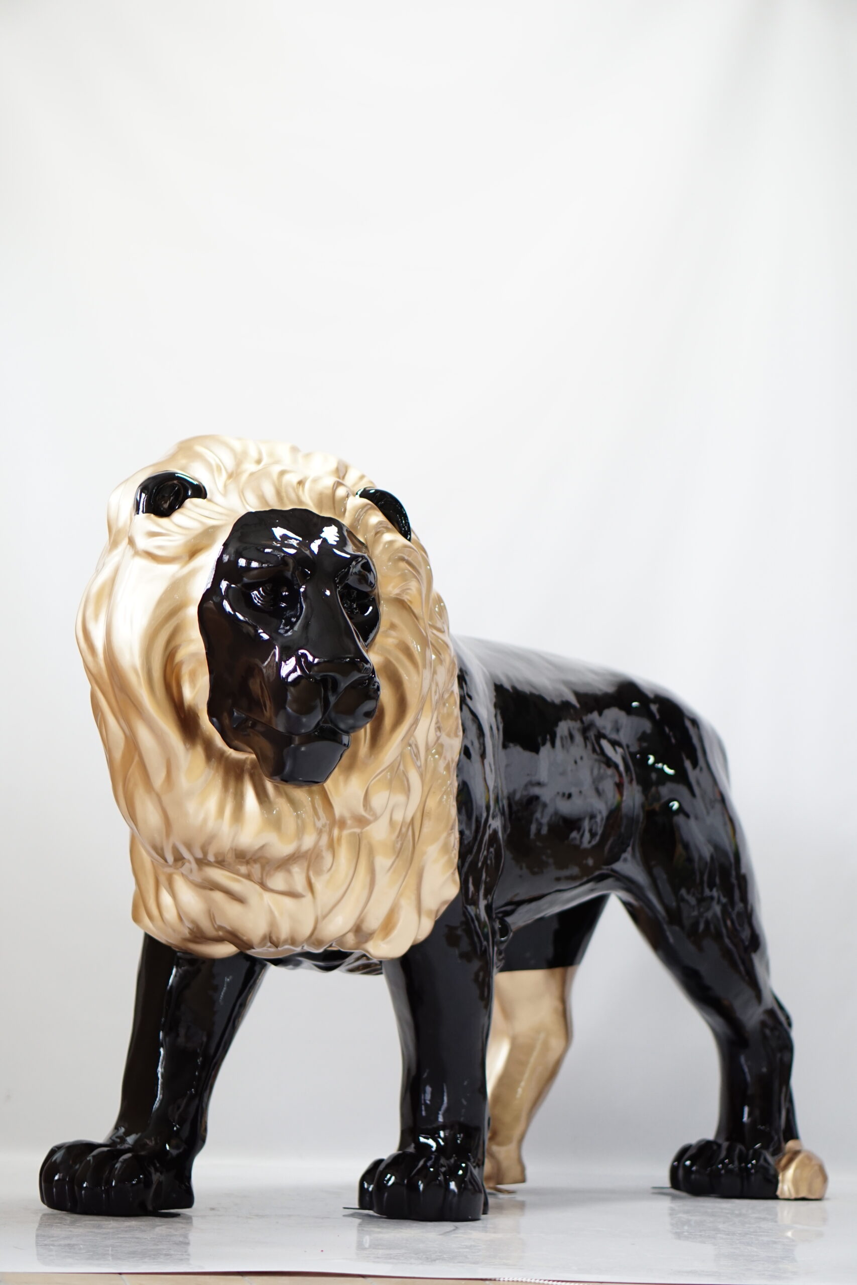 Lion à crinière dorée 2 Lew ze złotą grzywą