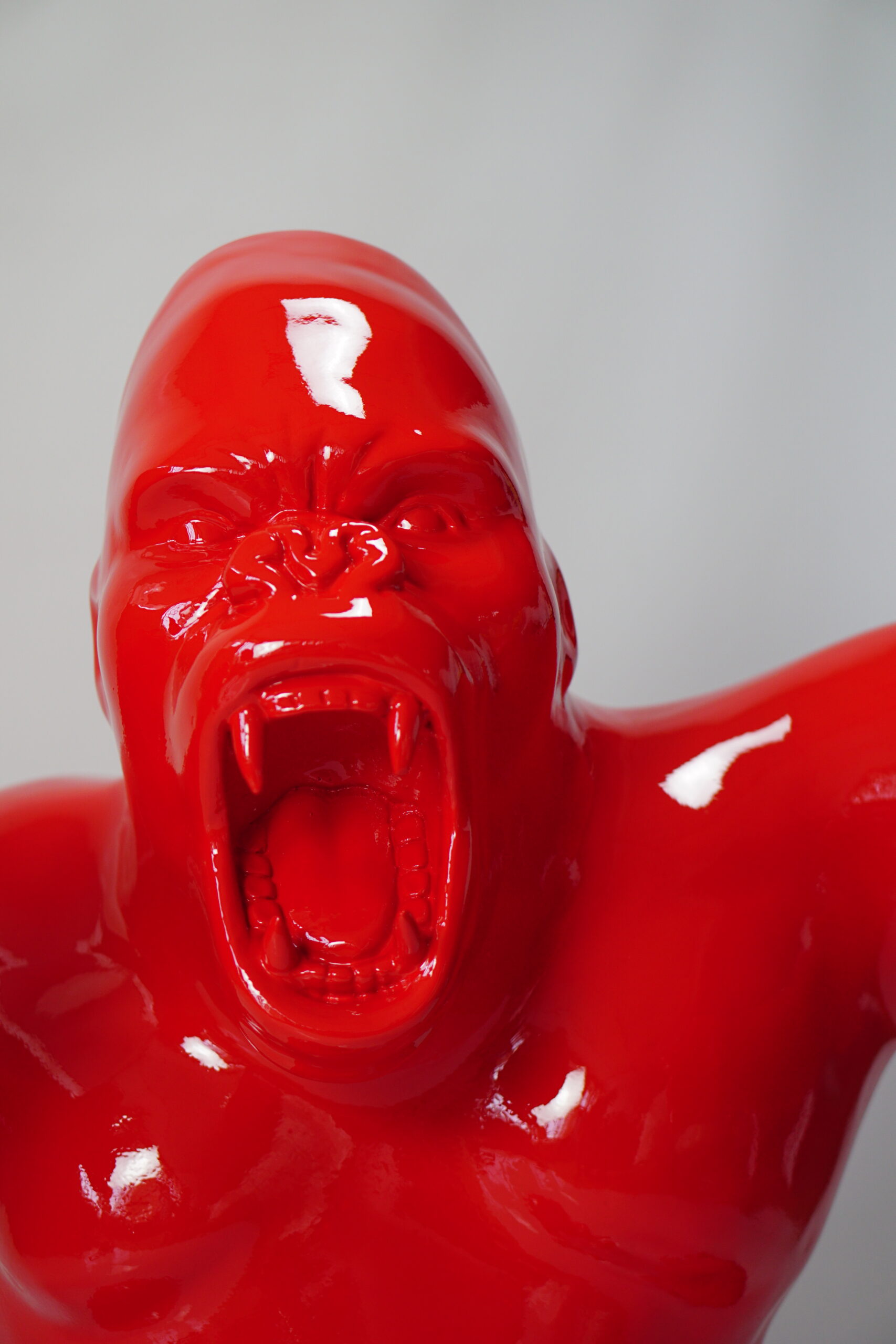 Gorille boxeur 1 Goryl bokser