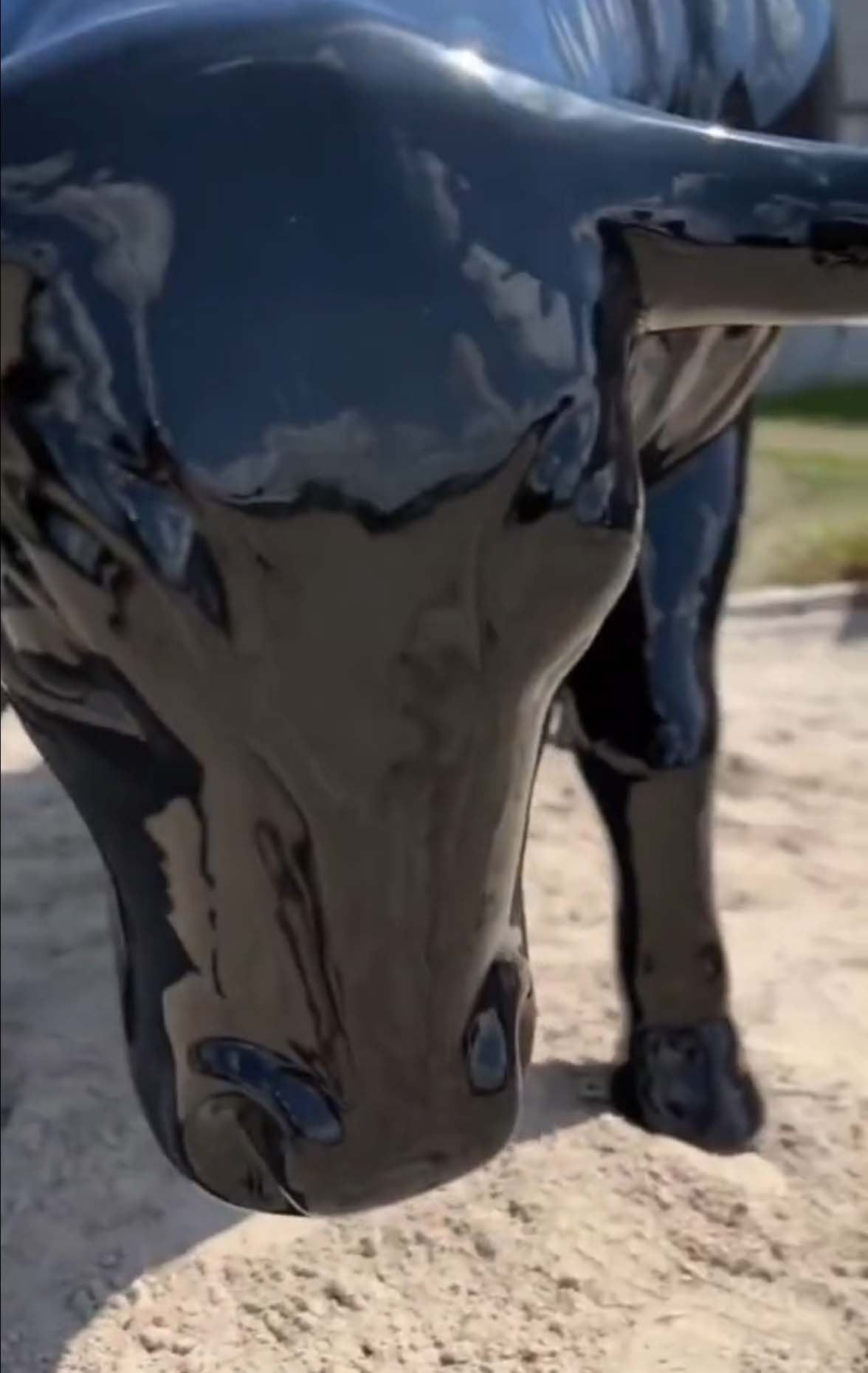 La sculpture du Taureau par 3Dform lors des compétitions de Working Equitation 2 Zbliżenie na głowę błyszczącej, czarnej rzeźby byka.