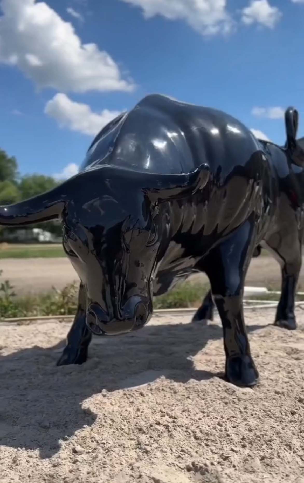 La sculpture du Taureau par 3Dform lors des compétitions de Working Equitation 3 Czarna, błyszcząca rzeźba byka na piaszczystym podłożu, na tle pochmurnego nieba.